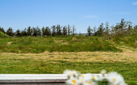 Tera - 600M from the Sea: Græs, Græs-, Land Lot, Sommerhus, Landdistrikt, Eng, Garden Bygninger, Have, Skur