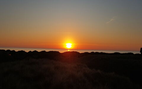 Lauri - 350M from the Sea: 