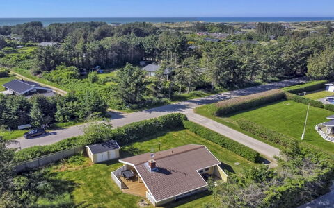Eden - 800M from the Sea: Plantesamfund, Sollys, Urteagtig Plante, Have, Plantation, Landbrug, Farm