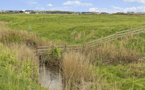Ilmatar - 650M from the Sea: Plantesamfund, Sollys, Urteagtig Plante, Have, Plantation, Landbrug, Farm