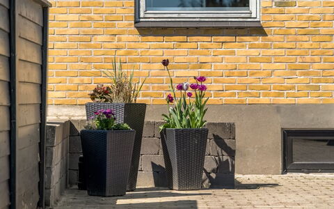Nayeli - 275M from the Sea: Blomsterkrukke, Kompositmateriale, Stueplante, Blomsterhandlere, Beton, Mursten, Have, Flise