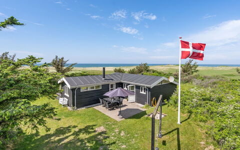 Marit - 150M from the Sea: Plantesamfund, Sollys, Urteagtig Plante, Have, Plantation, Landbrug, Farm