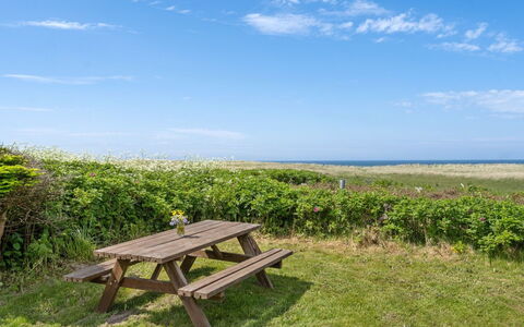 Marit - 150M from the Sea: Plantesamfund, Sollys, Urteagtig Plante, Have, Plantation, Landbrug, Farm