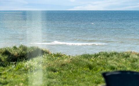 Trifun - 50M from the Sea: Plantesamfund, Sollys, Urteagtig Plante, Have, Plantation, Landbrug, Farm