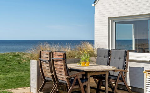 Trifun - 50M from the Sea: Plantesamfund, Sollys, Urteagtig Plante, Have, Plantation, Landbrug, Farm