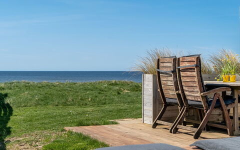 Trifun - 50M from the Sea: Plantesamfund, Sollys, Urteagtig Plante, Have, Plantation, Landbrug, Farm
