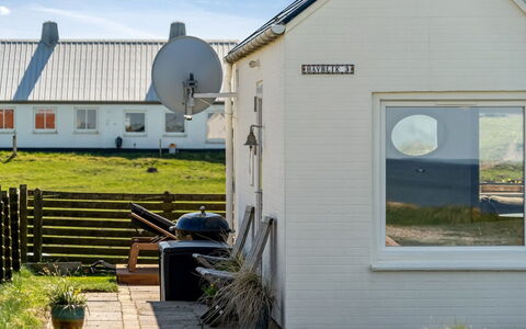 Trifun - 50M from the Sea: Plantesamfund, Sollys, Urteagtig Plante, Have, Plantation, Landbrug, Farm
