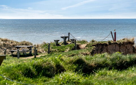 Trifun - 50M from the Sea: Plantesamfund, Sollys, Urteagtig Plante, Have, Plantation, Landbrug, Farm