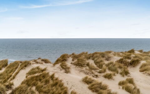 Radica - 50M from the Sea: Blå, Naturligt Miljø, Sand, Økoregion, Horisont, Strand, Kyst, Hav, Kyst