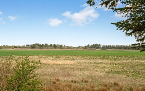 Harri - 850M from the Sea: Hus, Hjem, Dør, Tag, Sommerhus, Estate, Have, Skygge, Sidespor, Gård