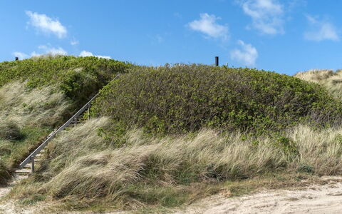 Abbie - 10M from the Sea: 