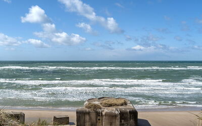 Abbie - 10M from the Sea