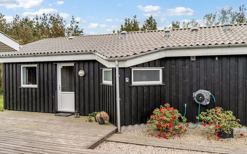 Aja - 900M from the Sea: Træ, Hav, Sky, Coastal Og Oceaniske Landskabsformer, Dæk, Ocean, Planke, Boardwalk, Kyst, Hårdttræ
