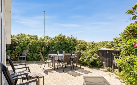 Telse - 375M from the Sea: Plantesamfund, Sollys, Urteagtig Plante, Have, Plantation, Landbrug, Farm