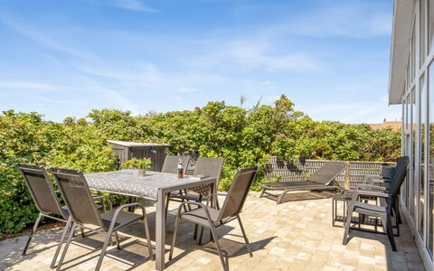 Telse - 375M from the Sea: Plantesamfund, Sollys, Urteagtig Plante, Have, Plantation, Landbrug, Farm