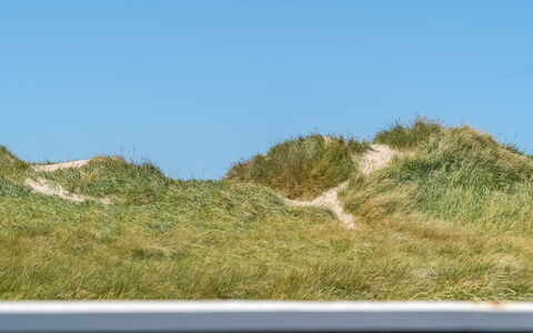 Hilka - 75M from the Sea: Blå, Græs, Naturligt Miljø, Økoregion, Græs-, Landskab, Terræn, Hældning, Steppe