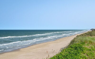 Alruna - 150M from the Sea