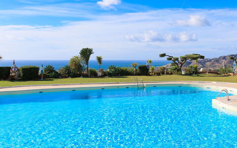 Casita Feliz: Blå, Vand, Svømmepøl, Hav, Fritid, Ocean, Udvej, Tropics, Kyst, Landscaping
