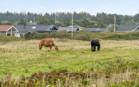 Helma - 200M from the Sea: Træ, Hus, Sommerhus, Hjem, Tag, Landdistrikt, Sidespor, Bjælkehytte, Garden Bygninger, Hårdttræ