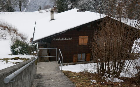 Chalet Grindelwaldgletscher: Sne, Plante, Bygning, Vindue, Træ, Træ, Hældning, Hus, Sommerhus, Landskab
