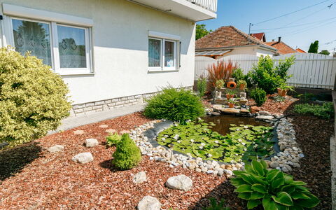 Domi: Himmel, Plante, Bygning, Daytime, Vand, Azure, Træ, Arecales, Krop Af Vand, Sky