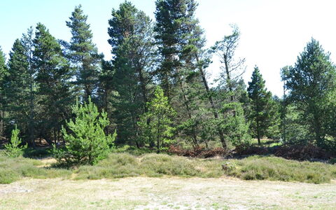 Tirsa - 3.9Km from the Sea: 