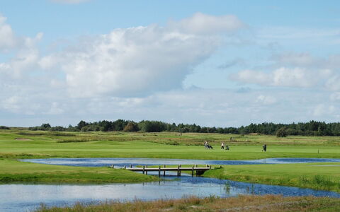 Thordo - 2.4Km from the Sea: Tækning, Sommerhus, Hus, Tag, Hjem, Stuehus, Hytte, Estate, Landsby