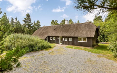 Ellanor - 1Km from the Sea: Bygning, Hus, Boligområde, Hjem, Busk, Tag, Sommerhus, Estate, Have