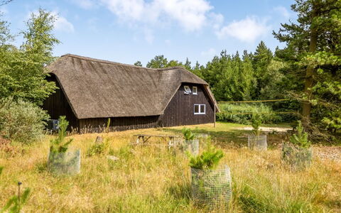 Ellanor - 1Km from the Sea: Bygning, Hus, Boligområde, Hjem, Busk, Tag, Sommerhus, Estate, Have