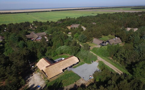 Ellanor - 1Km from the Sea: Landskab, Tag, Land Lot, Landdistrikt, Almindeligt, Sommerhus, Fugleperspektiv, Plantation, Luftfotografering, Estate