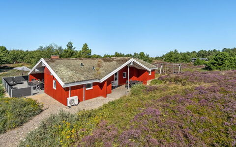 Asdis - 2.8Km from the Sea: Wildflower, Shrubland, Chaparral