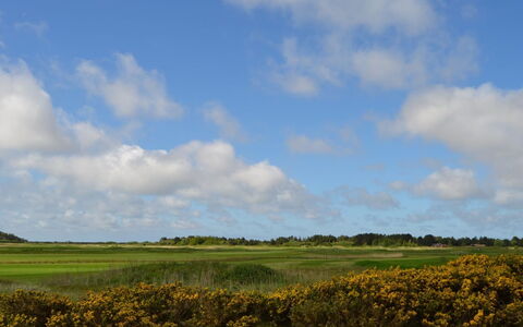 Auti - 2.3Km from the Sea: Bygning, Hus, Vindue, Hjem, Tag, Boligområde, Busk, Sommerhus, Land Lot