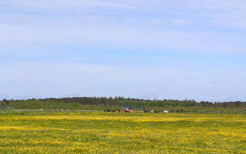 Auti - 2.3Km from the Sea: Bygning, Hus, Vindue, Hjem, Tag, Boligområde, Busk, Sommerhus, Land Lot