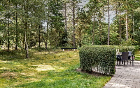 Troen - 3.8Km from the Sea: Træ, Grøn, Græs, Blad, Vegetationen, Busk, Have, Land Lot, Plantesamfund, Bunddække