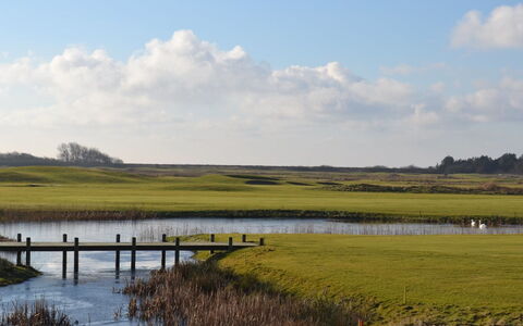 Byriel - 2.3Km from the Sea: Bygning, Hus, Vindue, Hjem, Tag, Boligområde, Busk, Sommerhus, Land Lot