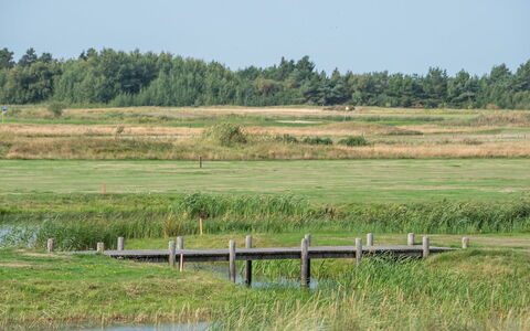 Helvig - 2.3Km from the Sea: Hus, Sommerhus, Tag, Garden Bygninger, Skygge, Skur, Backyard, Udendørs Møbler, Gård, Lawn