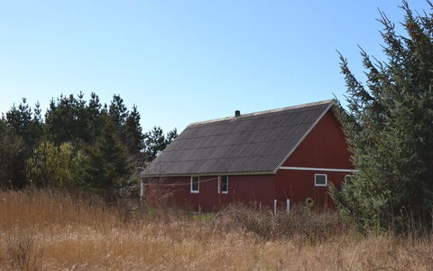Kabbi - 2.6Km from the Sea: Bygning, Hus, Vindue, Hjem, Tag, Boligområde, Busk, Sommerhus, Land Lot