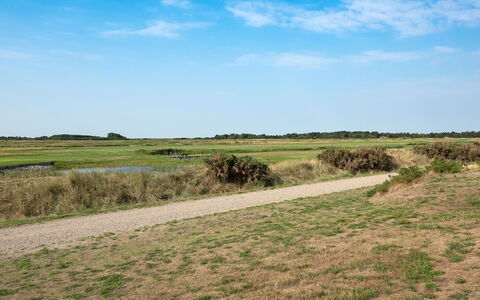 Jovanka - 2.3Km from the Sea: Himmel, Blå, Grøn, Græs, Græs-, Naturligt Miljø, Økoregion, Naturlige Landskab, Vegetationen, Almindeligt