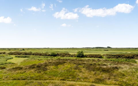 Anelia - 2.3Km from the Sea: Himmel, Blå, Græs, Naturligt Miljø, Grøn, Græs-, Økoregion, Vegetationen, Sky, Naturlige Landskab
