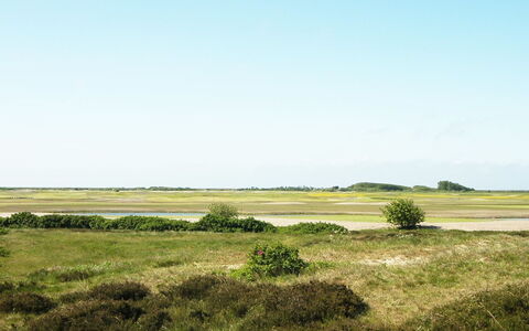 Sighwald - 2.3Km from the Sea: Himmel, Grøn, Græs, Græs-, Naturlige Landskab, Økoregion, Vegetationen, Almindeligt, Steppe, Prærie