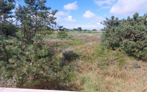 Elgin - 1.8Km from the Sea: Bygning, Hus, Vindue, Hjem, Tag, Boligområde, Busk, Sommerhus, Land Lot