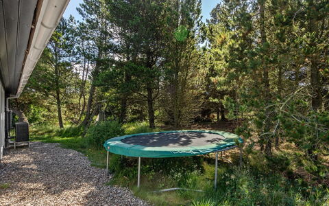 Henriethe - 1.1Km from the Sea: Sommerhus, Have, Sidespor, Garden Bygninger, Skygge, Gård, Backyard, Lawn, Stuehus, Landscaping