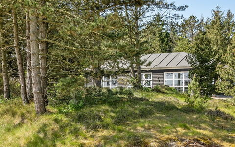 Svanborg - 3.7Km from the Sea: Tag, Hus, Land Lot, Hjem, Sommerhus, Estate, Garden Bygninger, Skygge, Bjælkehytte, Landscaping