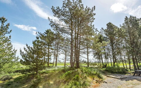 Svanborg - 3.7Km from the Sea: Tag, Hus, Land Lot, Hjem, Sommerhus, Estate, Garden Bygninger, Skygge, Bjælkehytte, Landscaping
