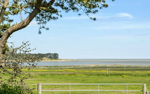 Svanborg - 3.7Km from the Sea: Tag, Hus, Land Lot, Hjem, Sommerhus, Estate, Garden Bygninger, Skygge, Bjælkehytte, Landscaping