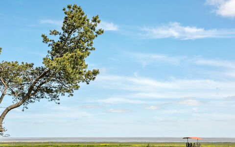 Svanborg - 3.7Km from the Sea: Tag, Hus, Land Lot, Hjem, Sommerhus, Estate, Garden Bygninger, Skygge, Bjælkehytte, Landscaping