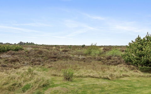 Dida - 3.1Km from the Sea: Sommerhus, Have, Sidespor, Garden Bygninger, Skygge, Gård, Backyard, Lawn, Stuehus, Landscaping