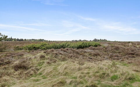 Dida - 3.1Km from the Sea: Sommerhus, Have, Sidespor, Garden Bygninger, Skygge, Gård, Backyard, Lawn, Stuehus, Landscaping