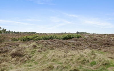 Dida - 3.1Km from the Sea