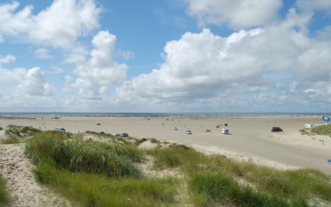 Hermandine - 700M from the Sea: Tag, Hus, Land Lot, Hjem, Sommerhus, Estate, Garden Bygninger, Skygge, Bjælkehytte, Landscaping